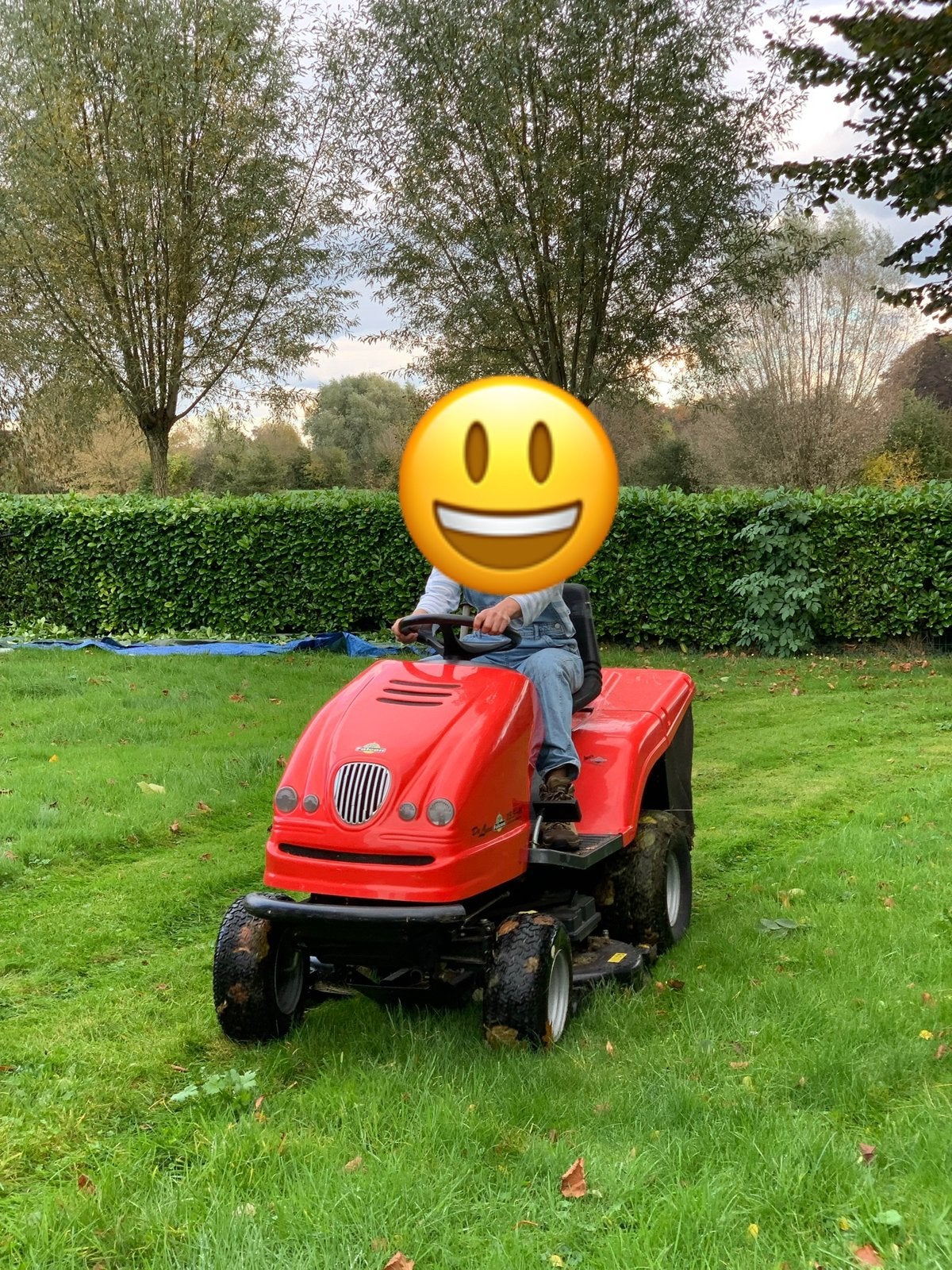 Zitmaaier met werk, Enlèvement, Comme neuf