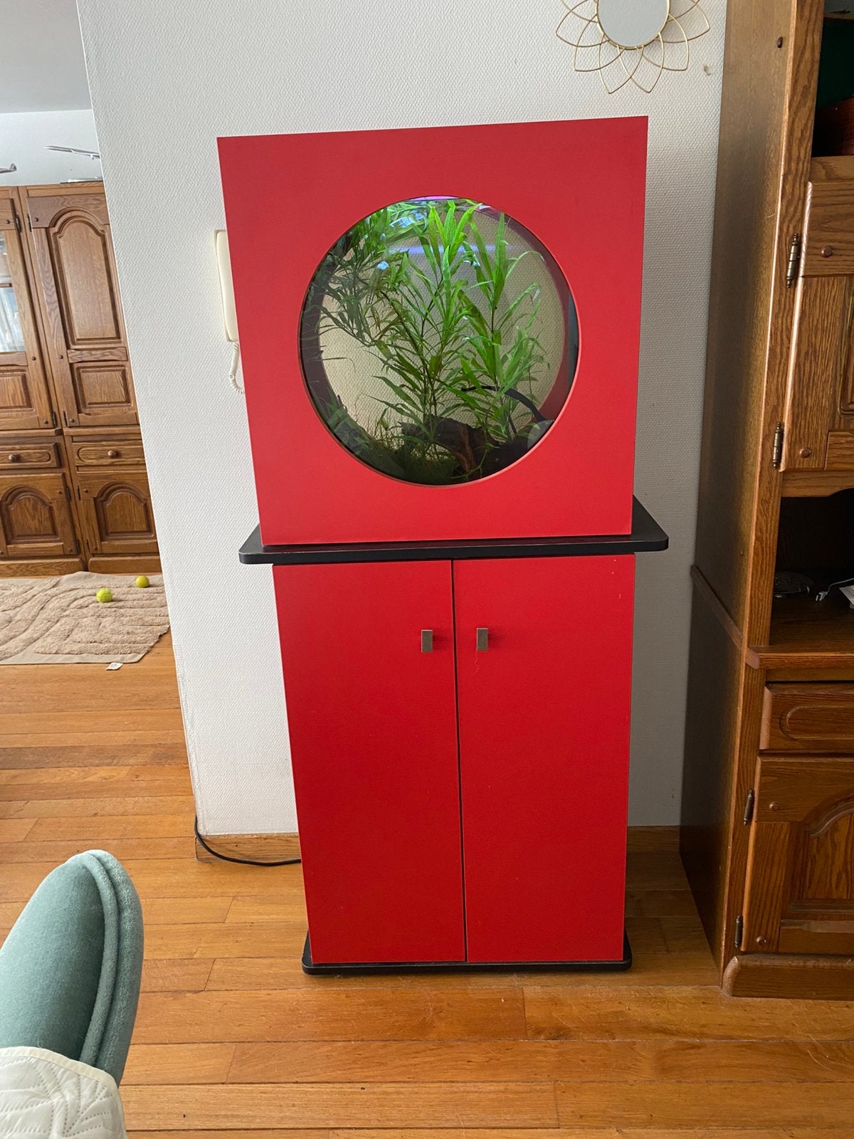 Aquarium, Animaux & Accessoires, Poissons | Aquariums & Accessoires, Enlèvement, Utilisé