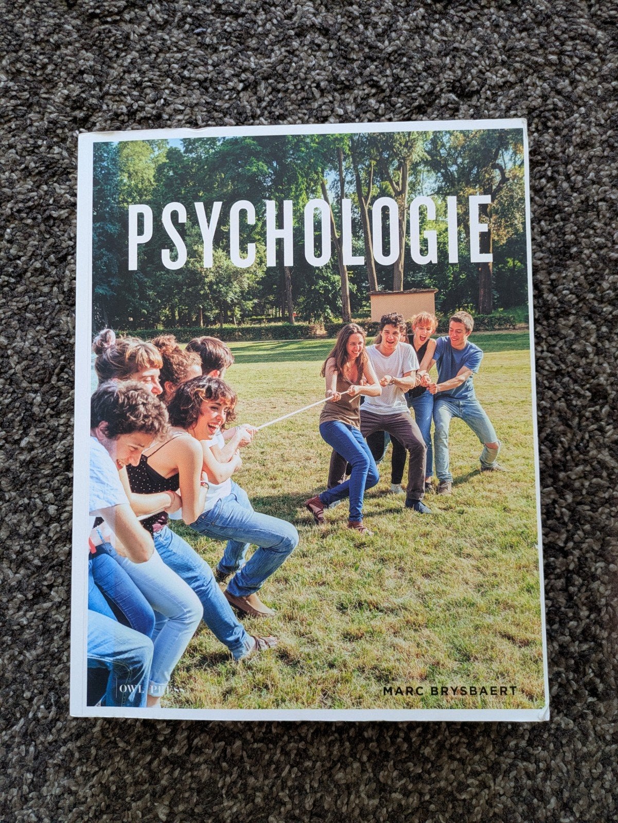 Handboek psychologie UGent, Boeken, Streekboeken en Streekromans, Ophalen of Verzenden