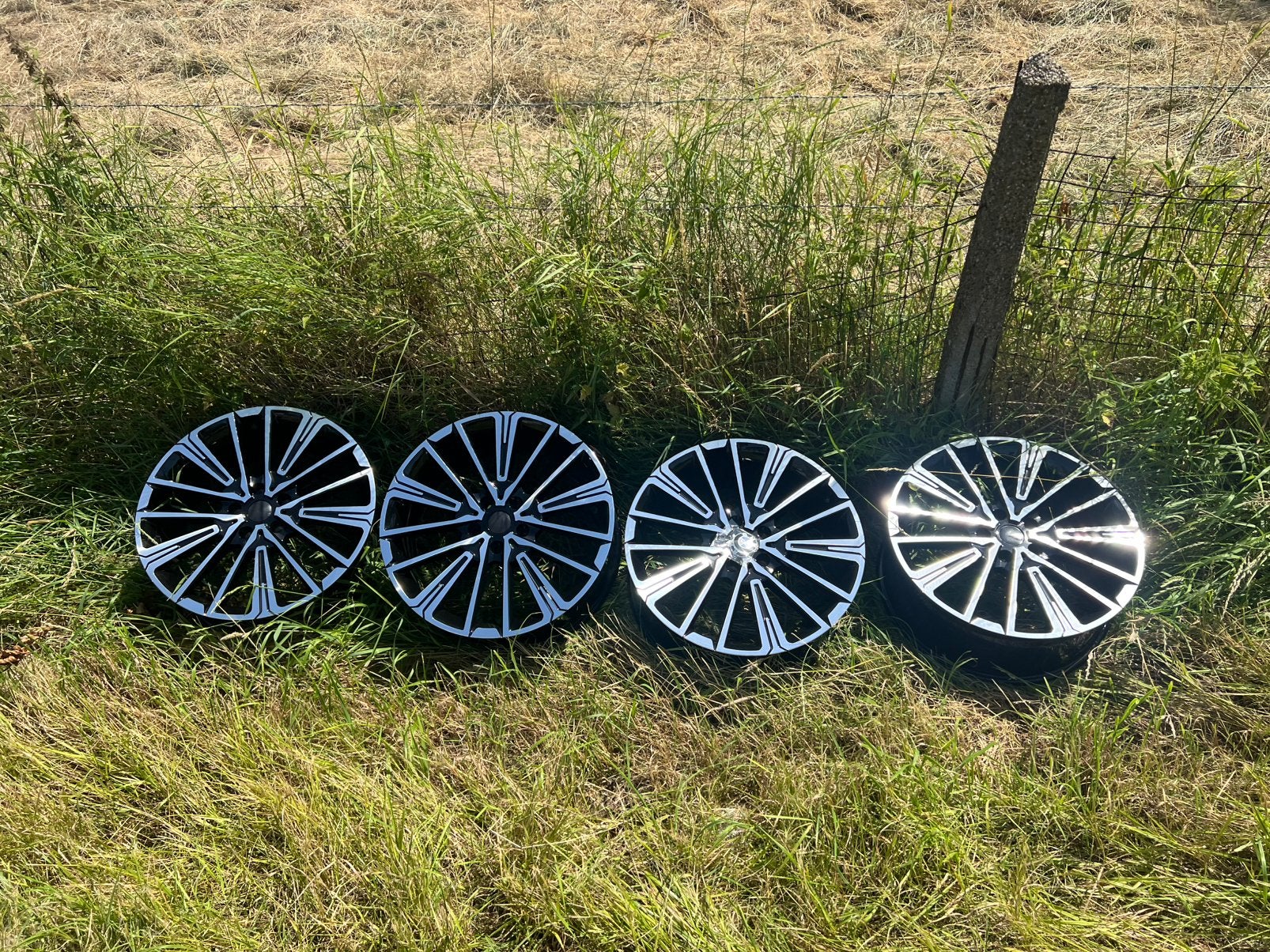 BMW 20 inch velgen, Ophalen of Verzenden, Zo goed als nieuw