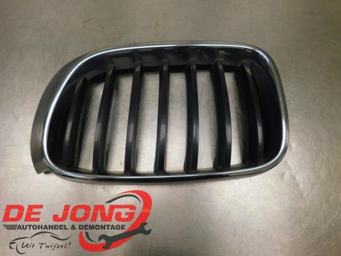 Grille van een BMW X3, Gebruikt, -, -, Ophalen of Verzenden