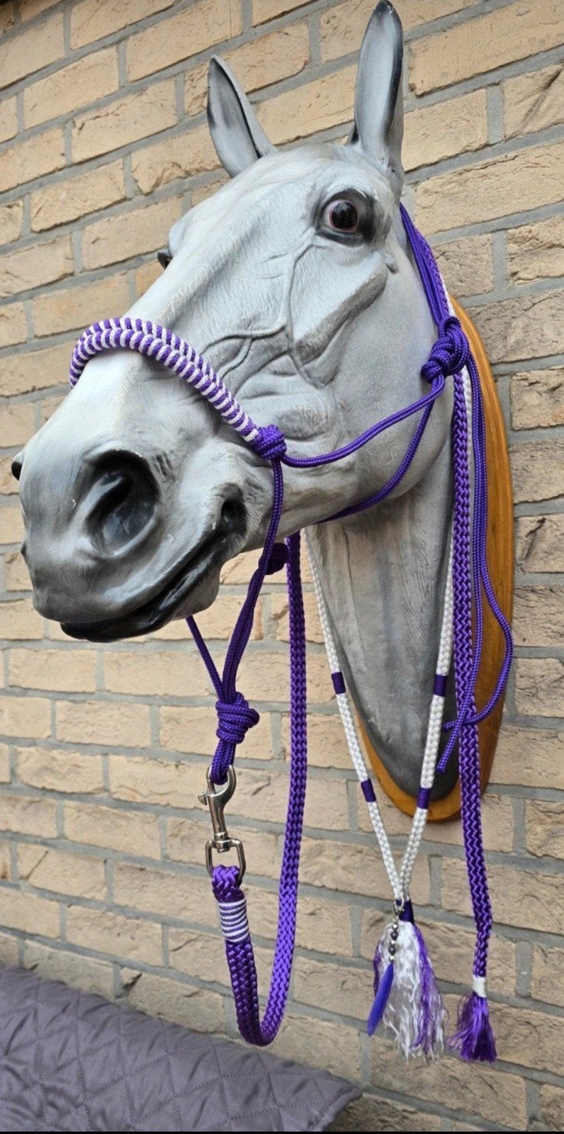 mooie 3 delige set maat full, Dieren en Toebehoren, Ophalen of Verzenden, Paars, Neckrope, Full