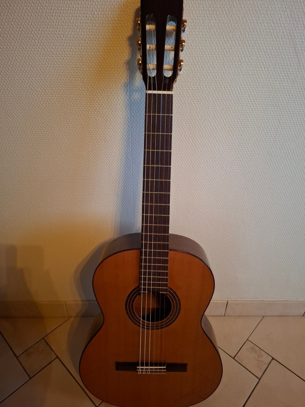 Klassieke gitaar, Muziek en Instrumenten, Ophalen, Gebruikt, Klassieke of Spaanse gitaar, Met koffer