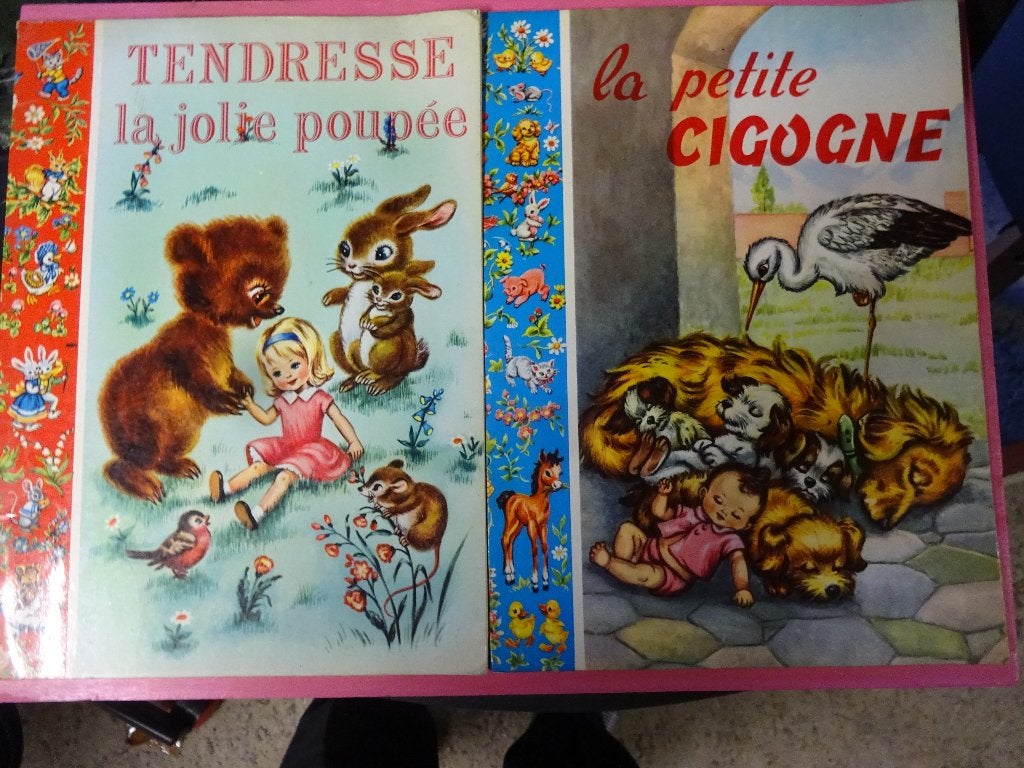 albums jeunesse .Lot de 28 livres . Tous genres . Voir scans, Enlèvement ou Envoi, Utilisé, Divers auteurs, Non-fiction