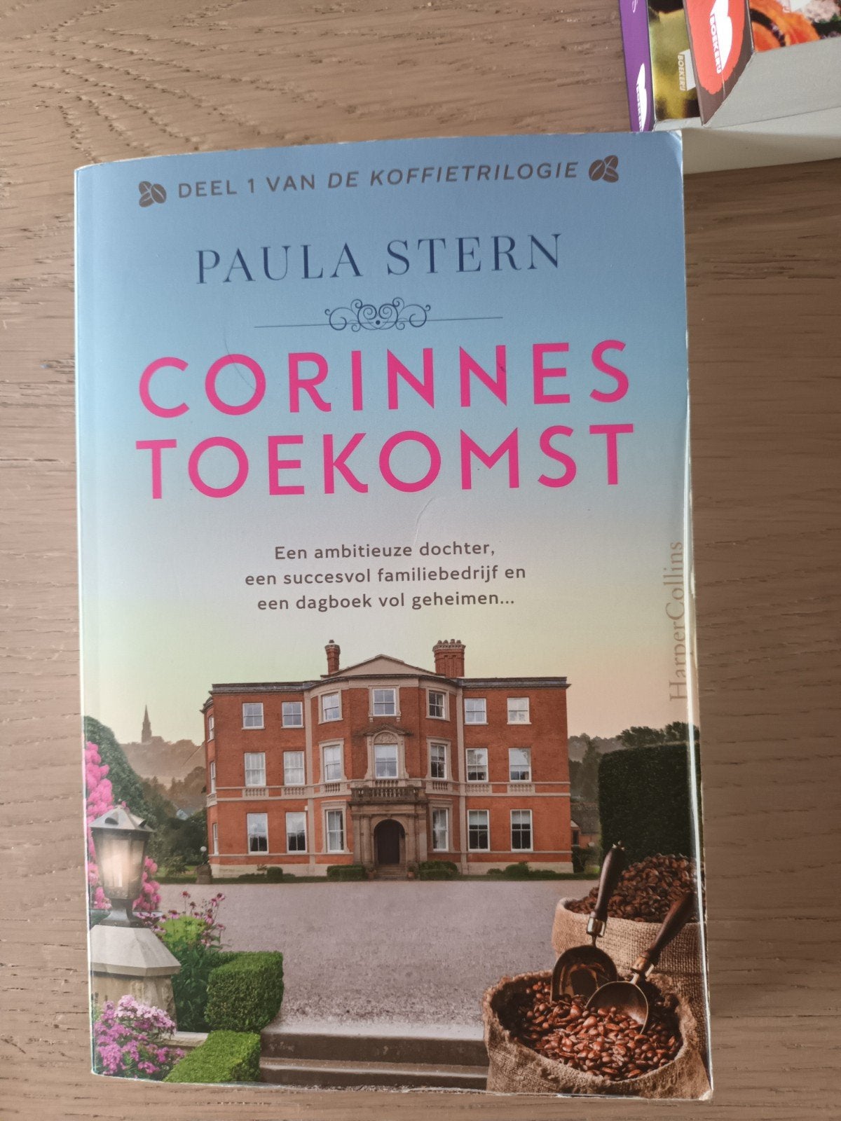 Paula Stern - Corinnes toekomst, Ophalen of Verzenden, Paula Stern