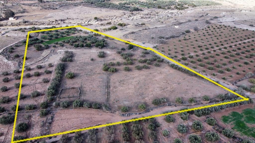 Landbouwgrond met olijfbomen tussen Driouch en Kebdani, Immo