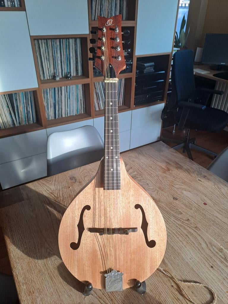 Ortega RMA5NA, Musique & Instruments, Instruments à corde | Mandolines, Enlèvement