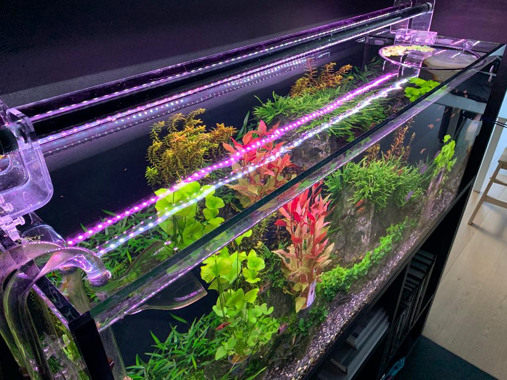 Aquarium LED Verlichting Sera, Ophalen, Zo goed als nieuw, Verlichting of Verwarming