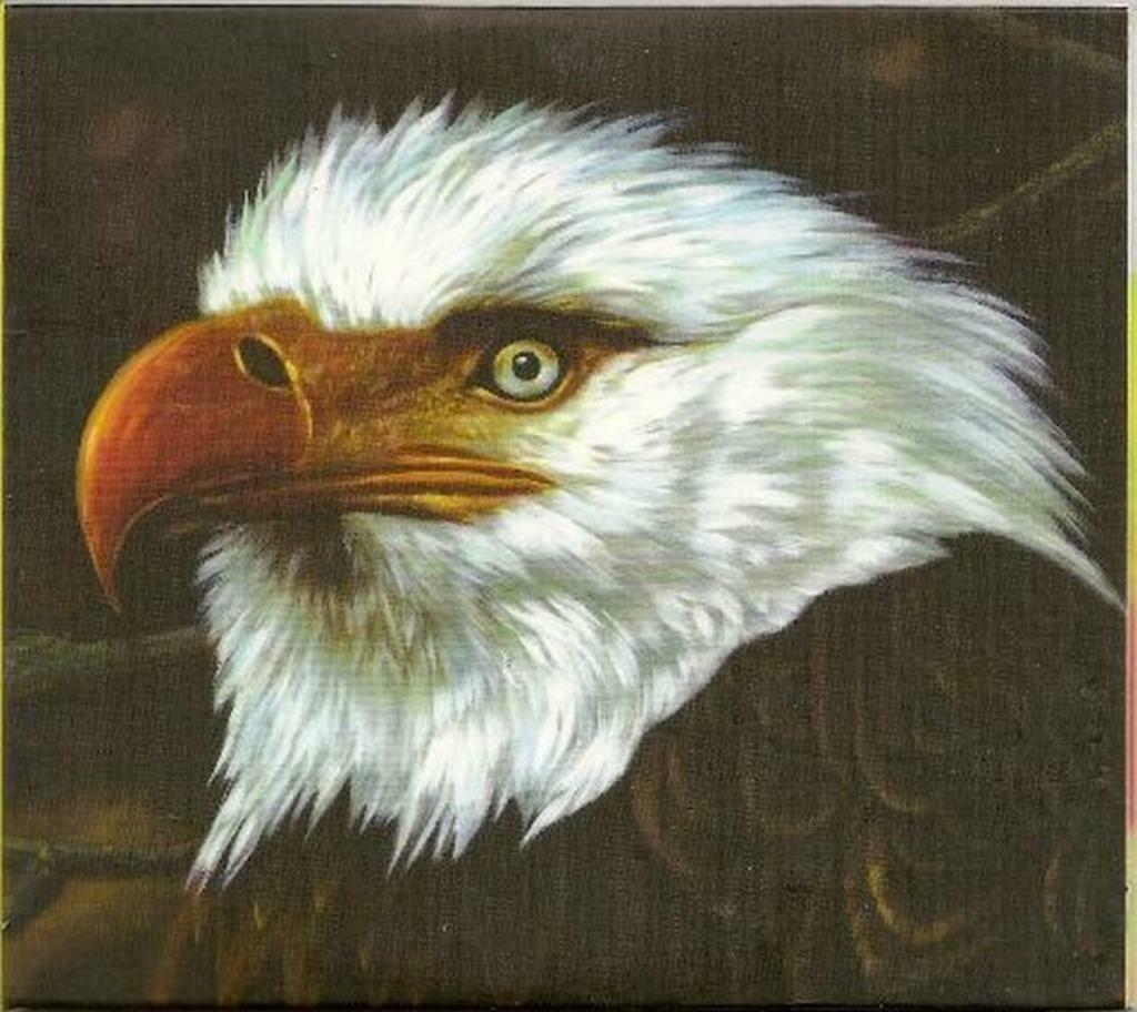 MOGWAI THE HAWK IS HOWLING - DIGIPACK CD ALBUM, Envoi, Comme neuf, Progressif
