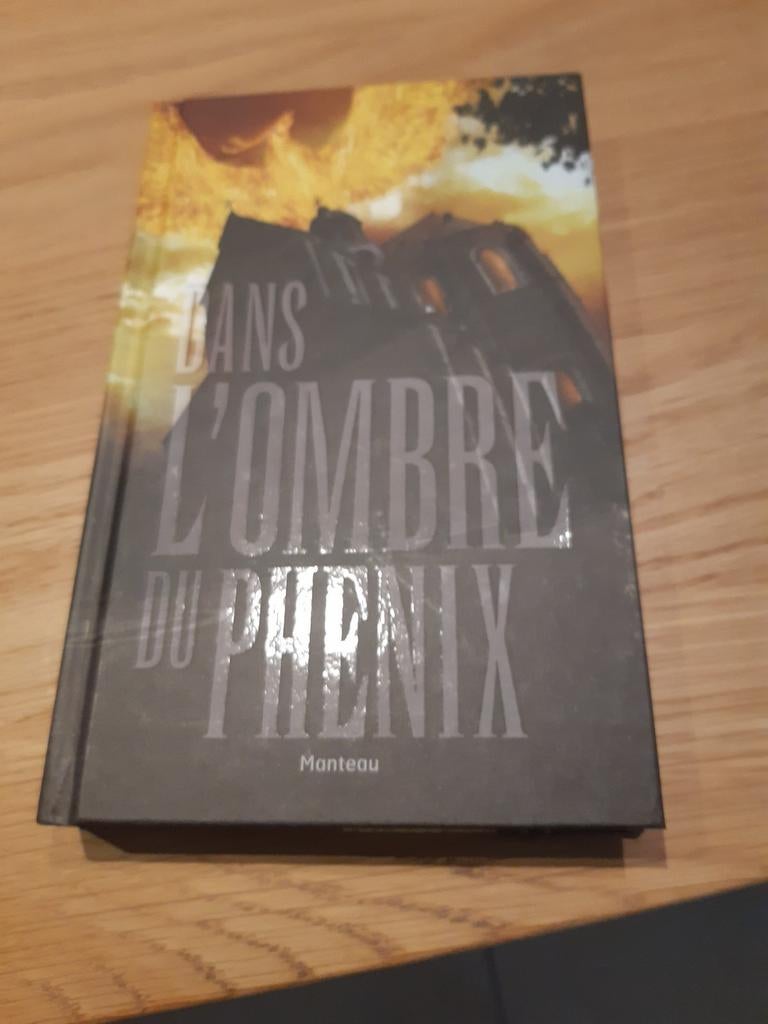 Dans l'ombre du phénix. Dans l'ombre du phénix., Enlèvement ou Envoi, Neuf