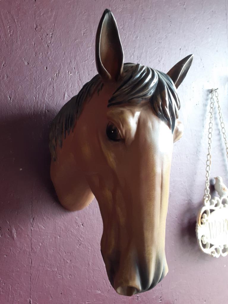 PRACHTIG PAARDENHOOFD VAN POLYRESIN OM OP TE HANGEN, Ophalen of Verzenden, Zo goed als nieuw