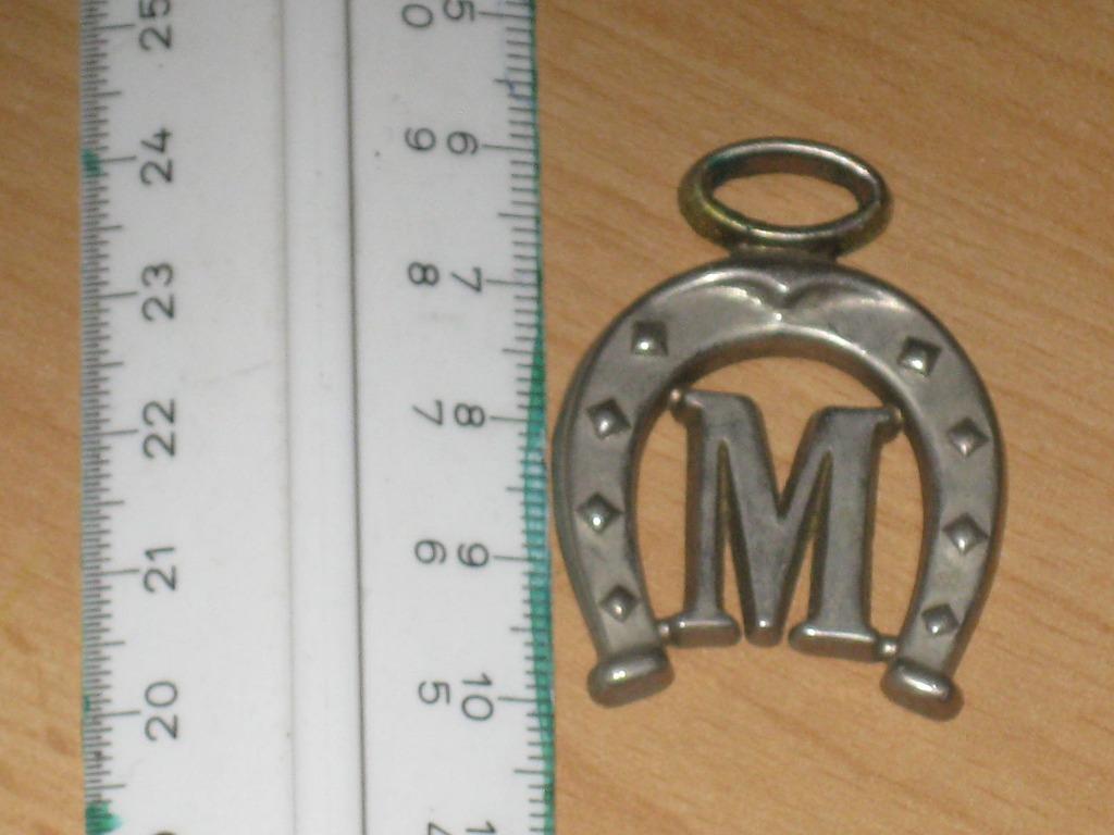 hoefijzer hanger, Ophalen of Verzenden, Zo goed als nieuw, Overige soorten