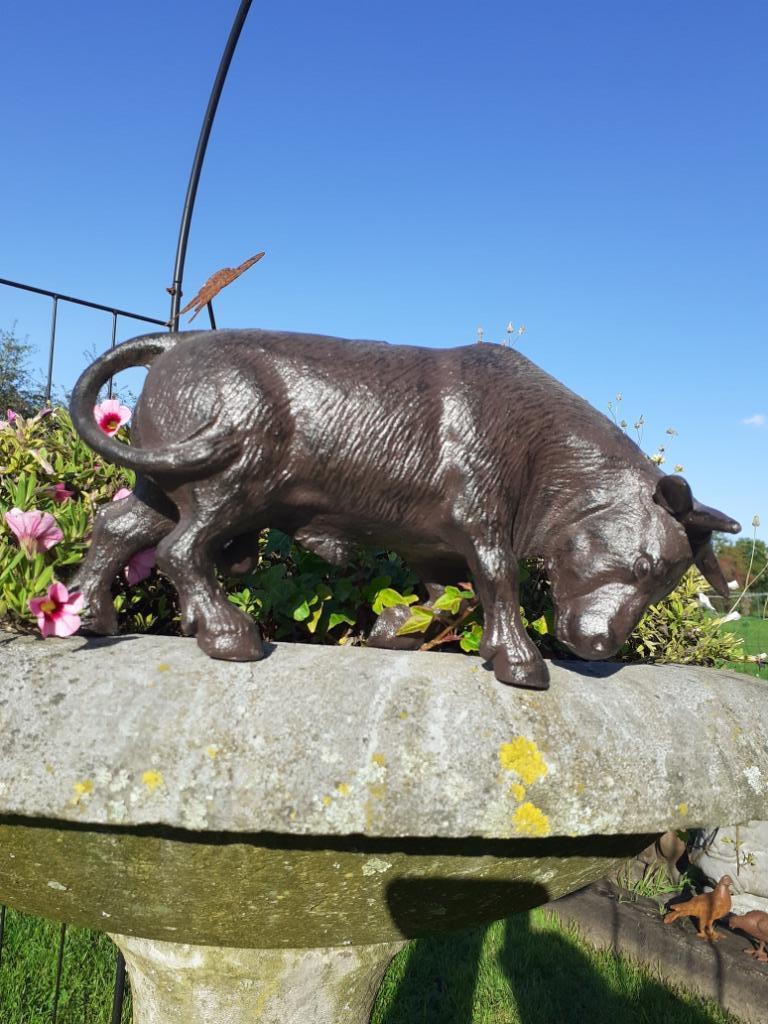 Gepatineerde gietijzeren stier, Ophalen of Verzenden, Nieuw, Hout, Brocante