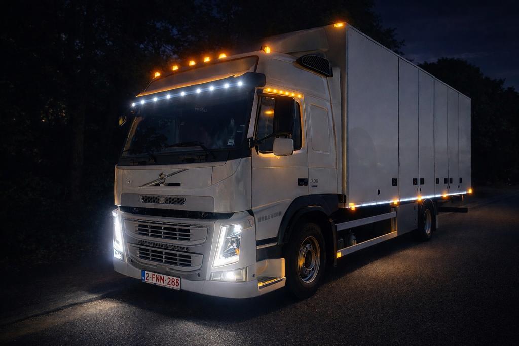 Verhuizingdienst/transporteur, Services & Professionnels, Déménageurs & Stockage, Service d'emballage