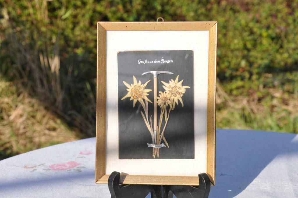 §  cadre herbier fleur des montagnes, Enlèvement ou Envoi, Utilisé