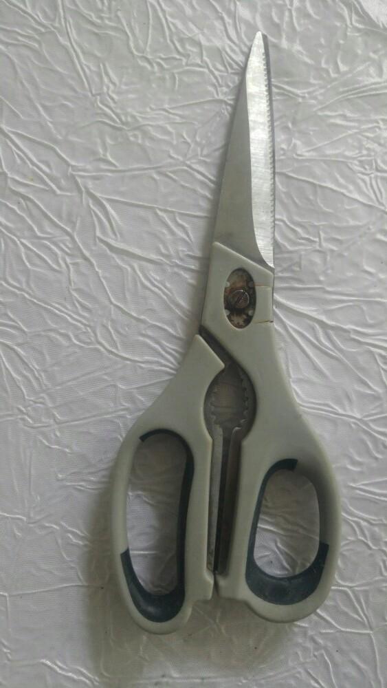 Vintage Ciseaux à poisson 22cm gris, Enlèvement ou Envoi, Utilisé, Inox ou Chrome