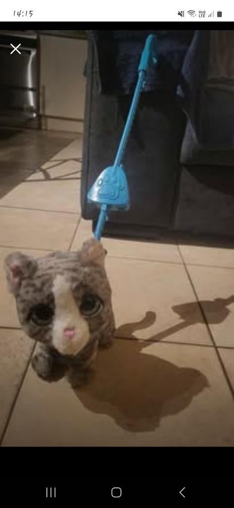 Furreal katje, Enlèvement