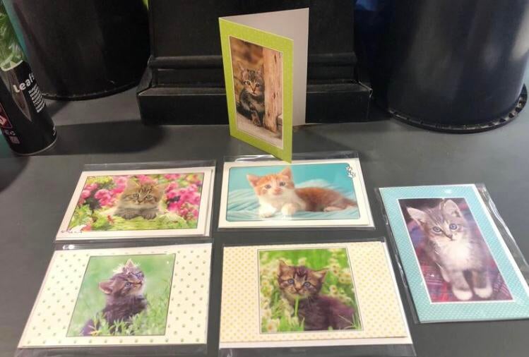 Lot de 6 cartes pour vœux neuves, Enlèvement, Neuf