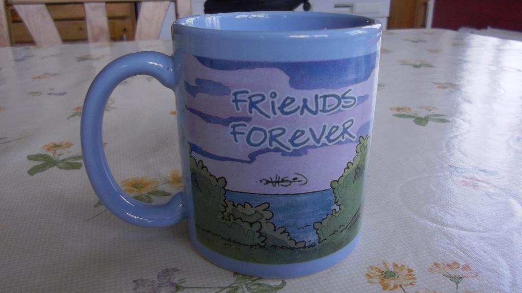 Amis pour toujours ! - tasse, Collections, Disney, Comme neuf, Service, Enlèvement ou Envoi