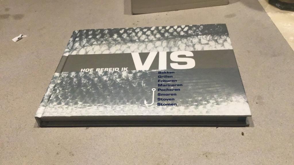 Hoe bereid ik vis(d5), Ophalen of Verzenden, Zo goed als nieuw