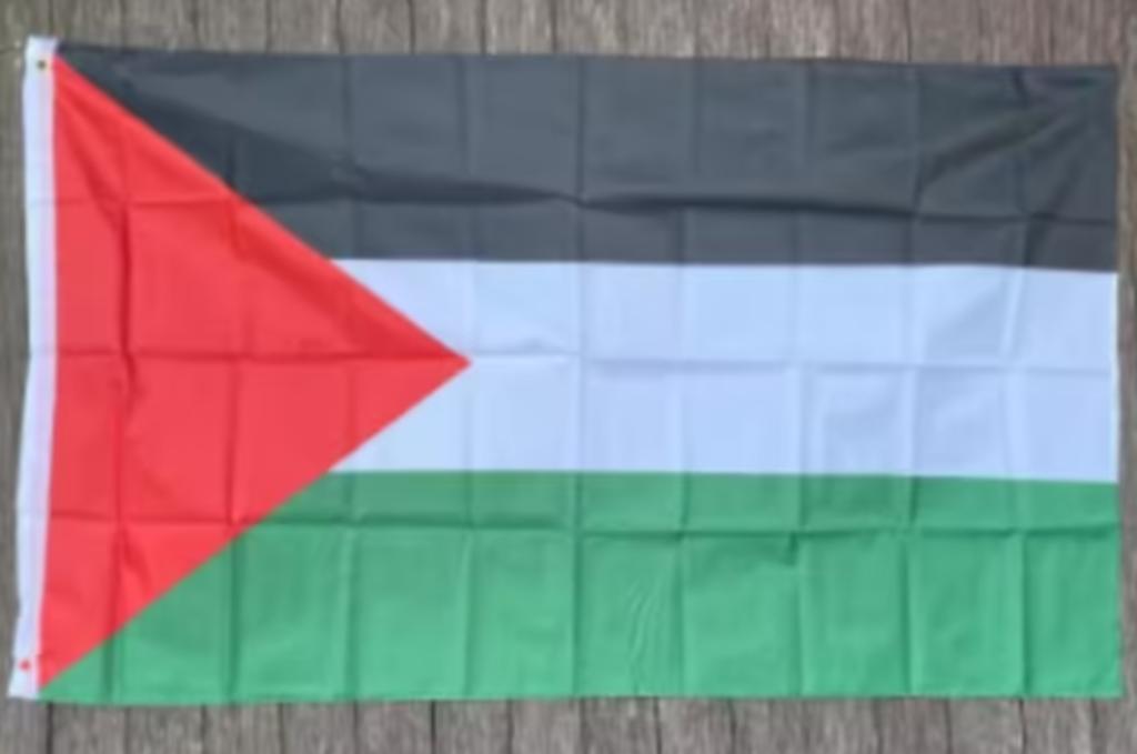 Grote vlag Palestina (150x90cm), Ophalen of Verzenden, Nieuw