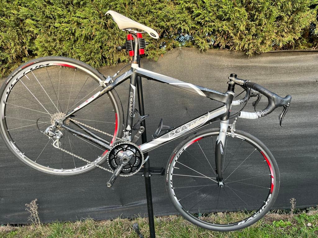 Scatto Falcon, Autres marques, Enlèvement, 28 pouces, 53 à 57 cm