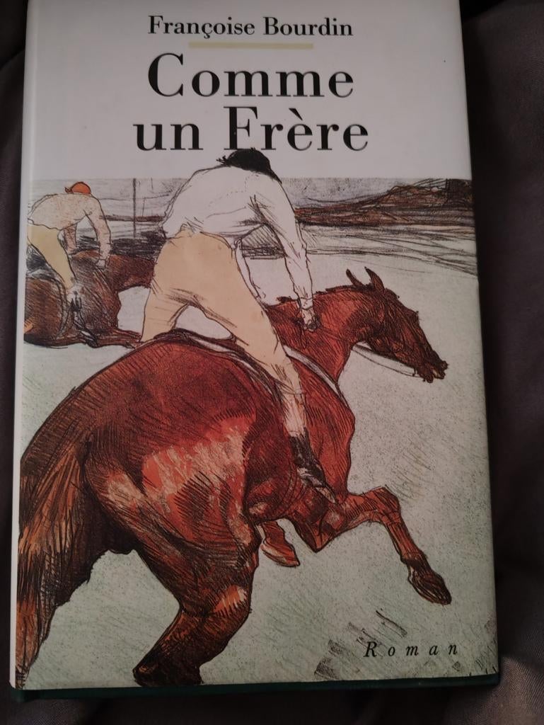 Françoise Bourdin roman  Comme un frère, Livres, Enlèvement ou Envoi, Comme neuf