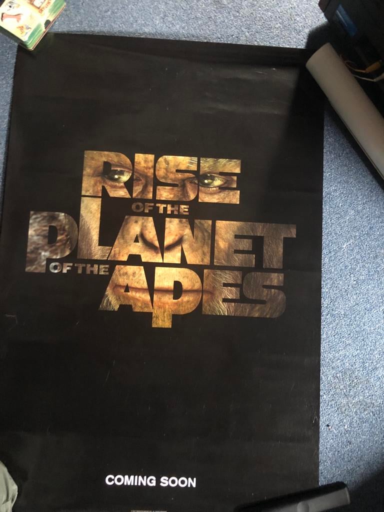 USA Teaser Poster Rise of the Planet of the Apes, Verzamelen, Ophalen of Verzenden, Zo goed als nieuw, Poster