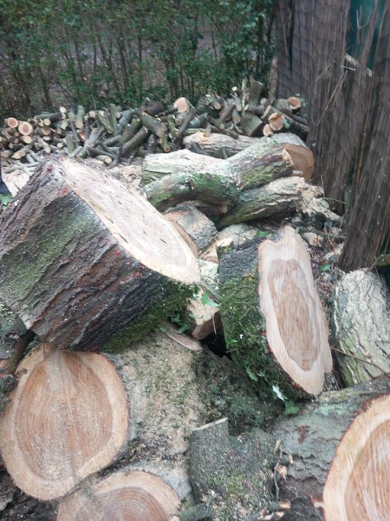 Eik brandhout, Tuin en Terras, Brandhout, 6 m³ of meer, Ophalen of Verzenden, Eikenhout