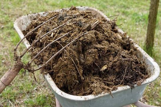 Fumier de cheval a donner sans paille ou foin, Enlèvement, Fumier