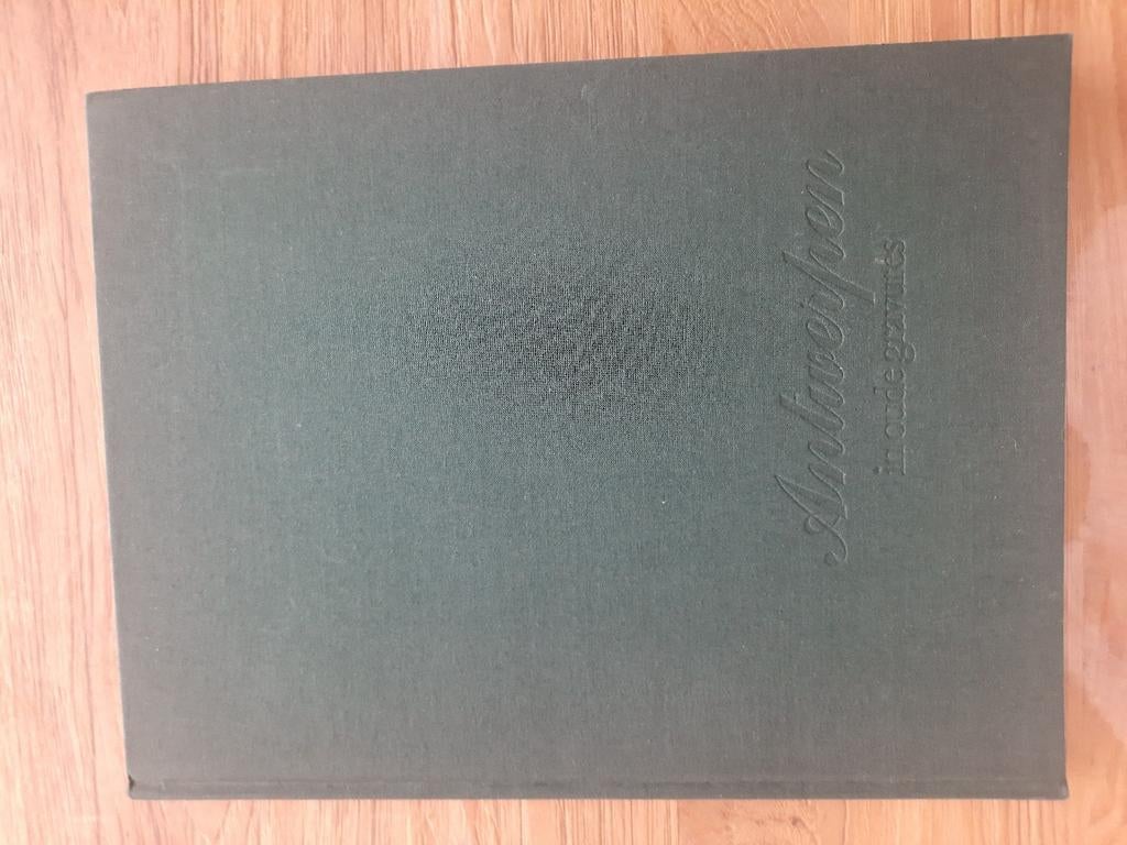 Antwerpen in oude gravures, Ophalen of Verzenden, Gelezen, Ward ruyslinck
