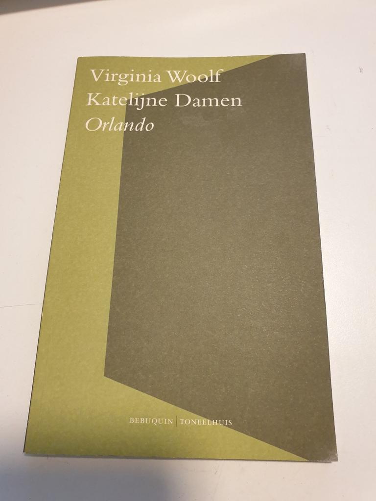 Katelijne Damen - Orlando. VIRGINIA WOOLF, Boeken, Ophalen of Verzenden, Zo goed als nieuw, Katelijne Damen; Virginia Woolf