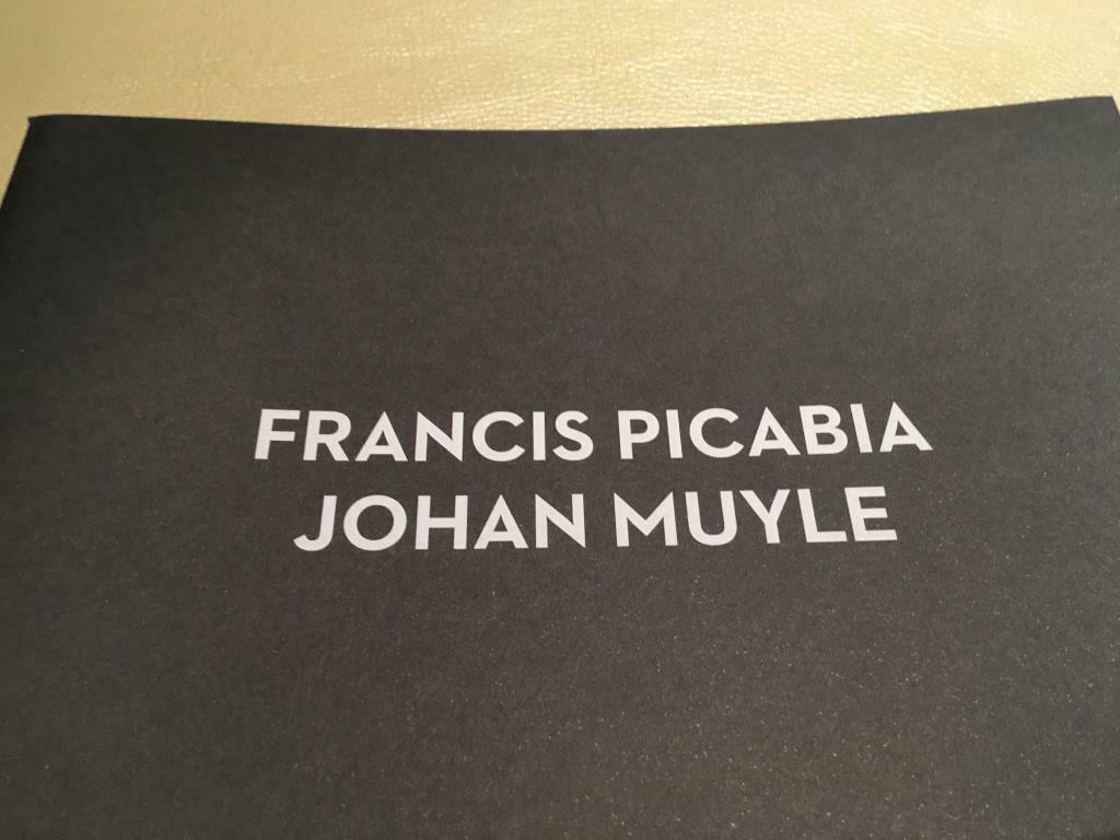 Francis Picabia Johan Muyle 40 pages, Enlèvement ou Envoi, Comme neuf, Peinture et dessin