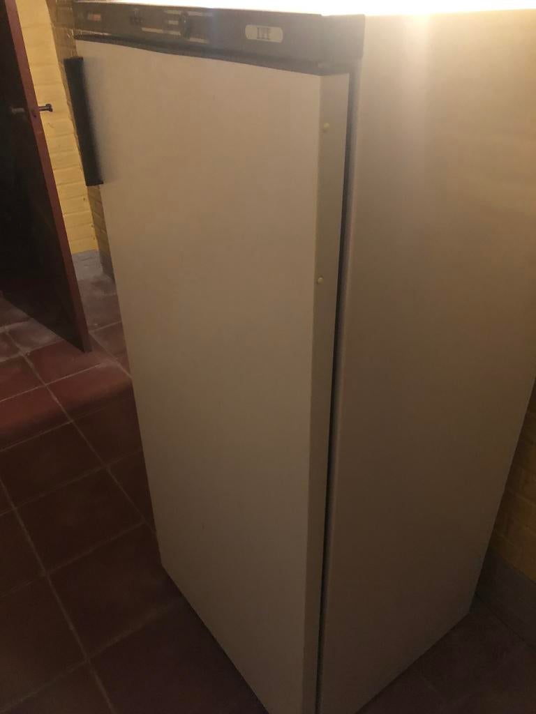 Diepvrieskast, Elektronische apparatuur, Vriezers en Diepvrieskisten, Ophalen
