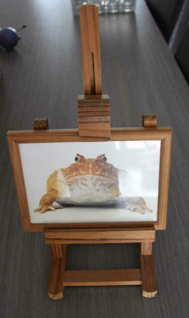 Grappig kadertje op houten staander, Huis en Inrichting, Ophalen of Verzenden, Zo goed als nieuw