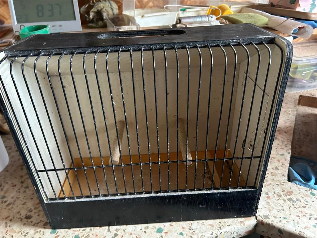 Cage oiseaux transport possibilité d’en avoir  plus, Enlèvement, Utilisé, Cage à oiseaux