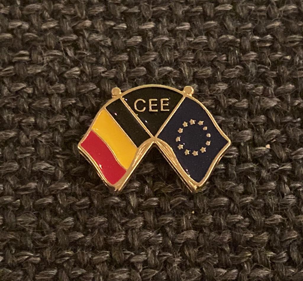 PIN - VLAG - BELGIË - BELGIQUE - EUROPA - EUROPE, Envoi, Utilisé, Ville ou Campagne, Insigne ou Pin's