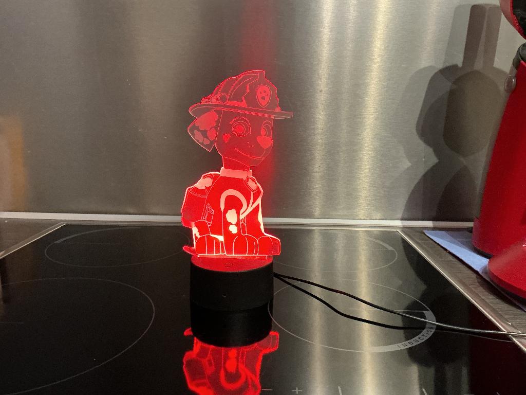 Marshall Paw patrol lampje, Enlèvement