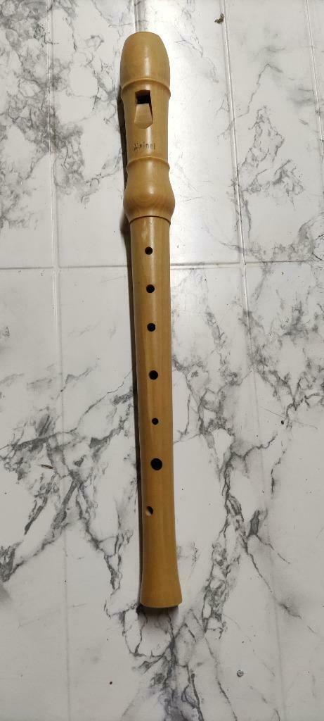 Blokfluit, Musique & Instruments, Instruments à vent | Flûtes à bec, Enlèvement, Comme neuf, Autres types, Avec valise, étui ou housse