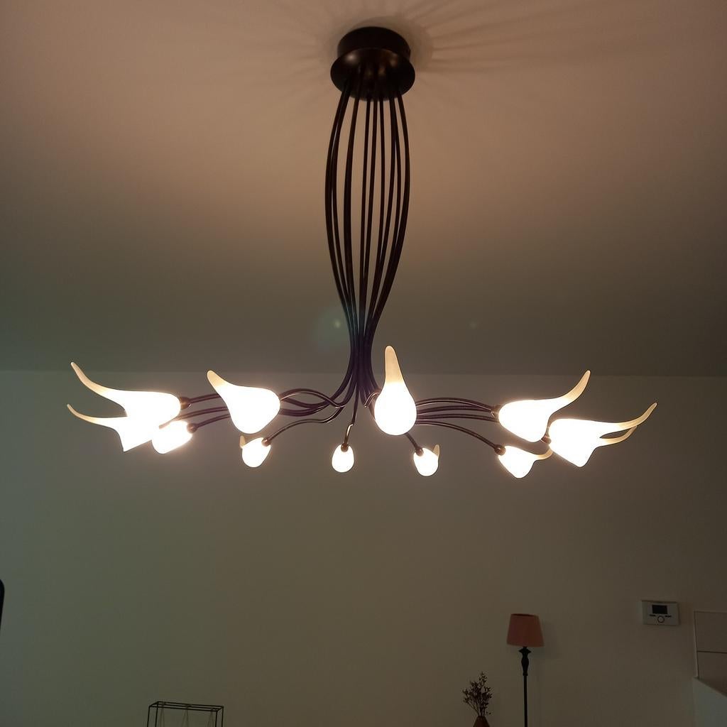 Luster, Antiek en Kunst, Ophalen