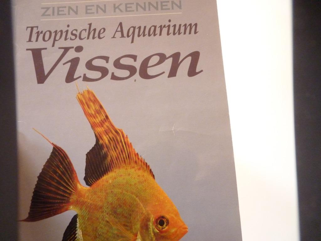 Tropische aquariumvissen, Boeken, Dieren en Huisdieren, Gelezen, Ophalen of Verzenden, Sweeney, Vissen