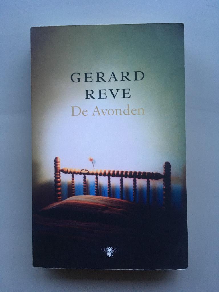 De avonden - Gerard Reve, Boeken, Literatuur, Gelezen, Nederland, Ophalen of Verzenden
