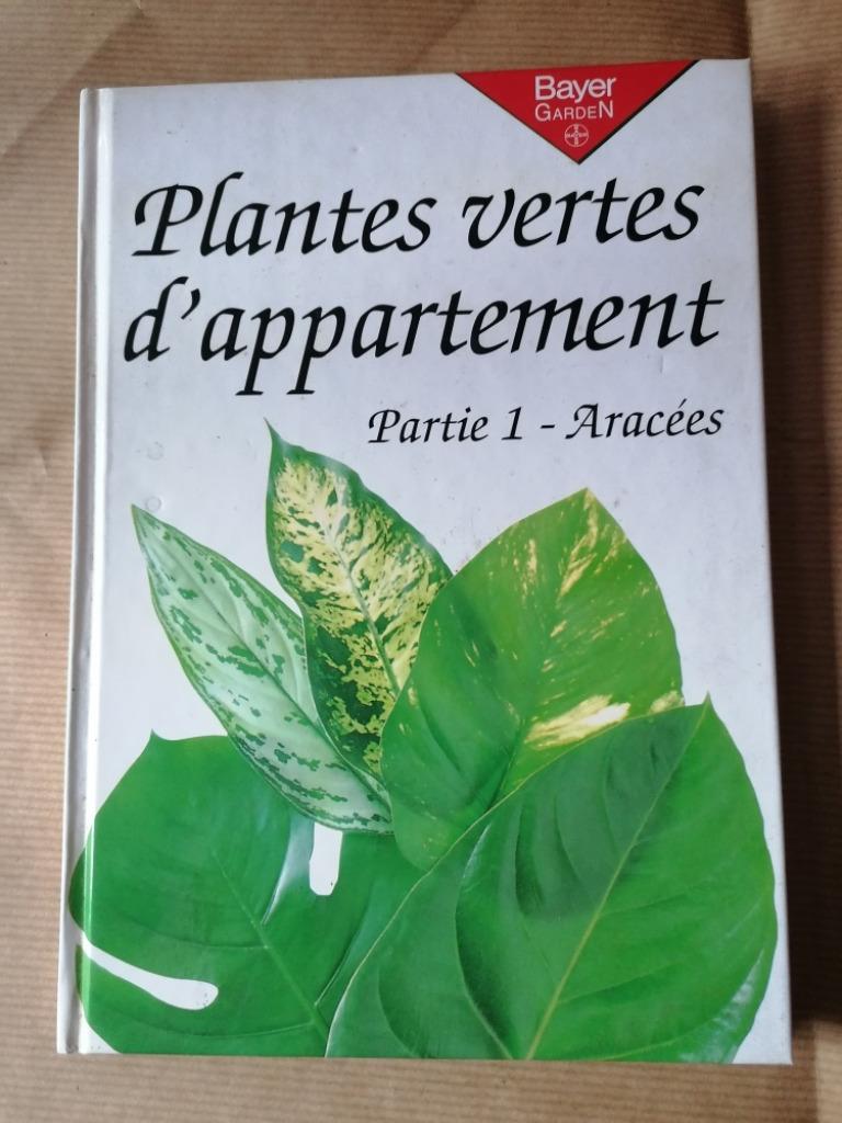 Plantes vertes d'appartement partie 1 - Aracées, Enlèvement, Utilisé