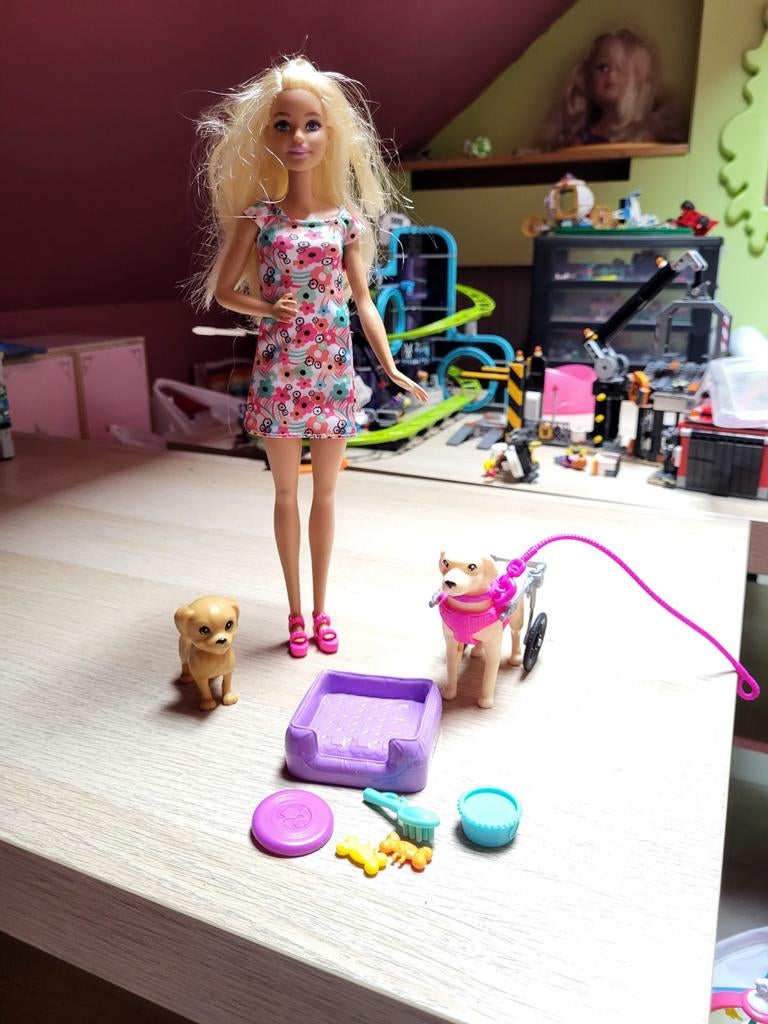 Barbie hond met rolstoel, Ophalen, Barbie