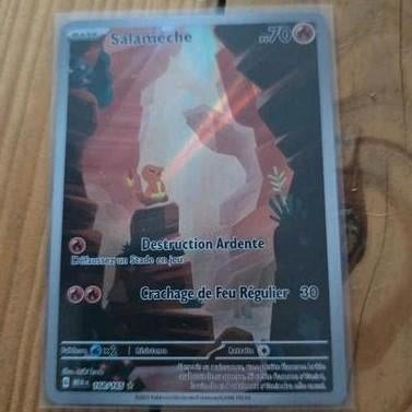 Carte pokemon, Enlèvement ou Envoi