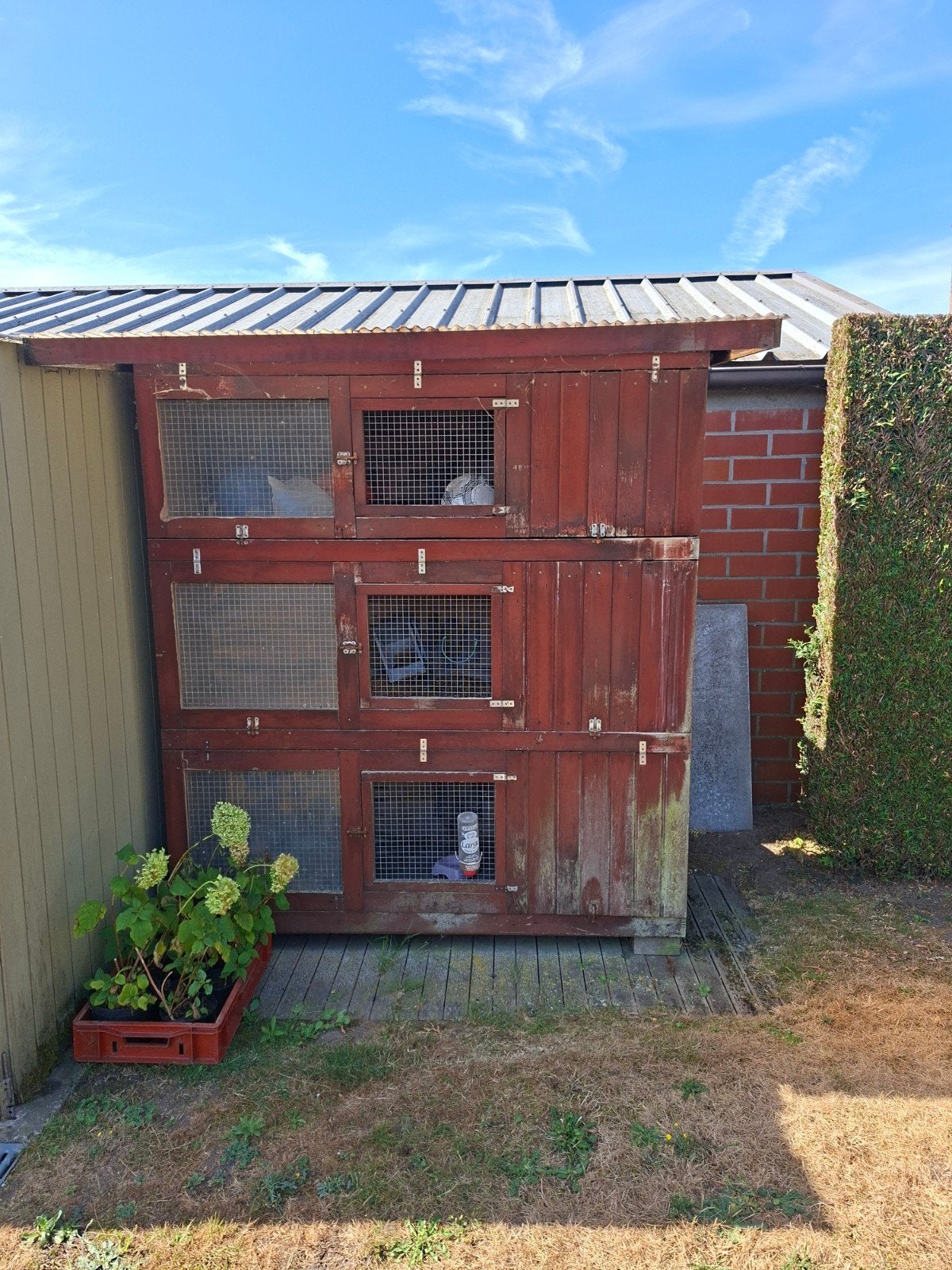 konijnenhokken  gratis., 90 cm ou plus, Cage, Enlèvement, Utilisé