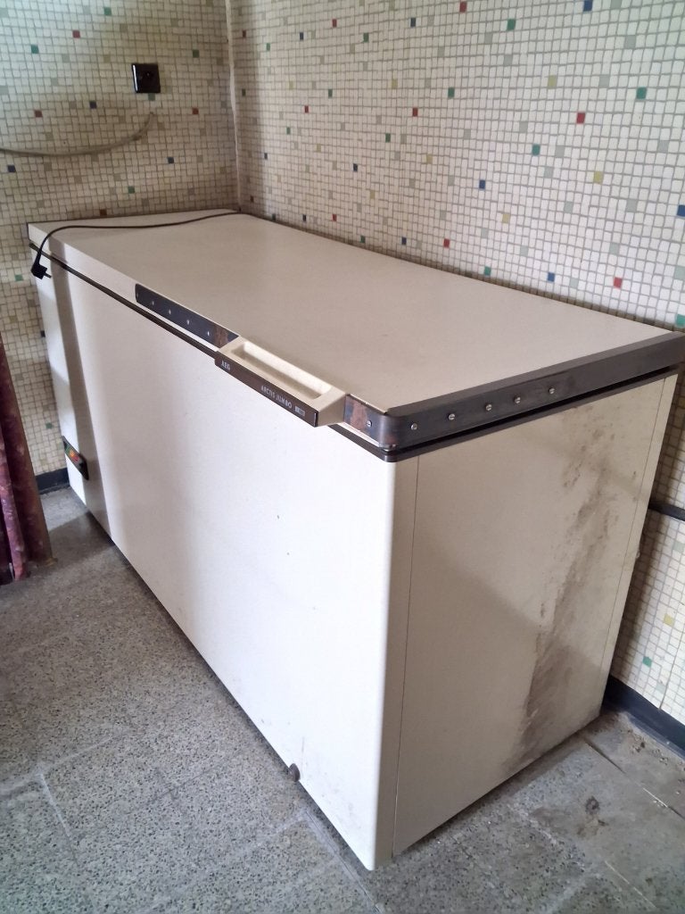 diepvrieskist, Vrieskist, Gebruikt, Ophalen, 85 tot 120 cm