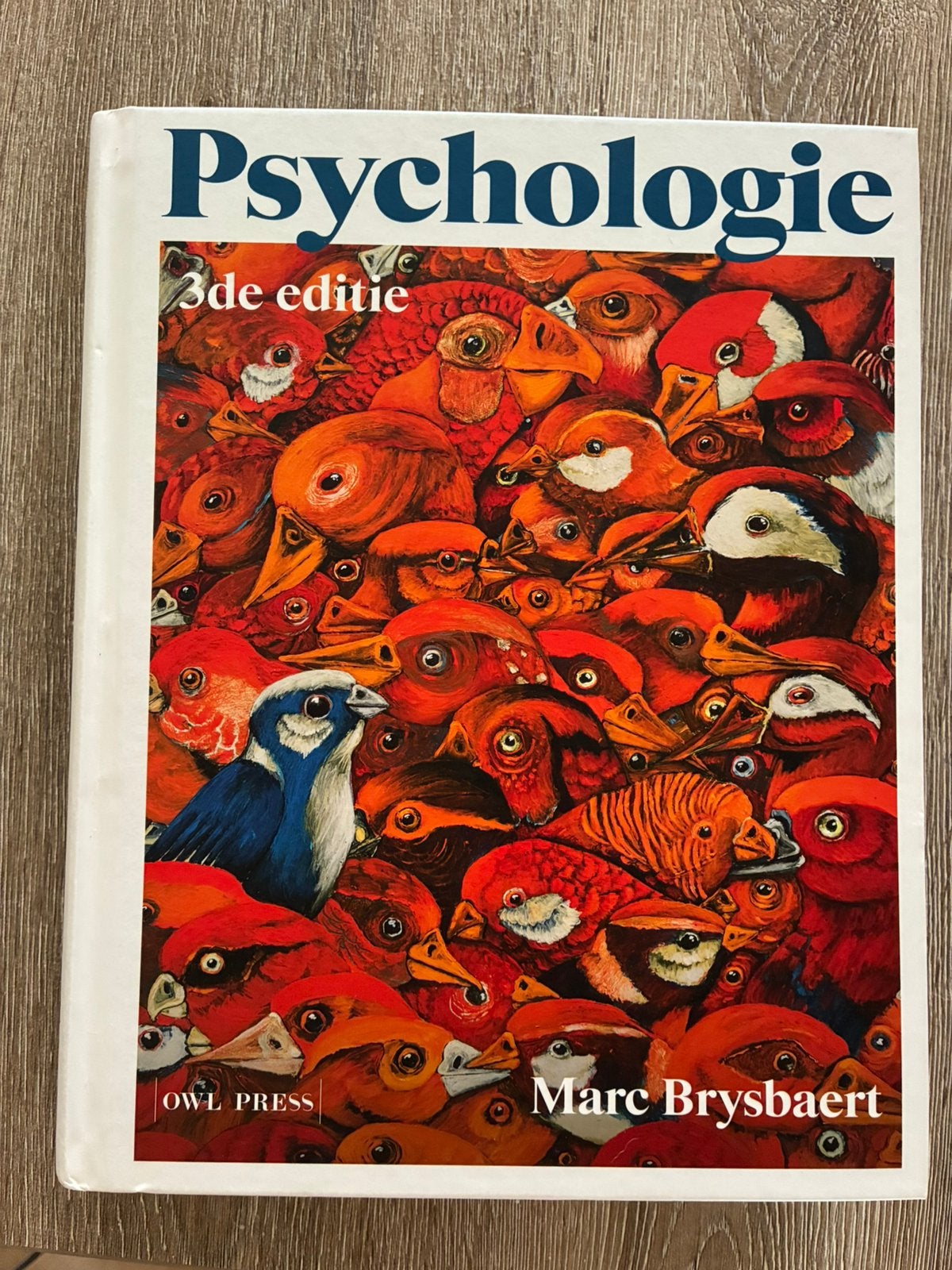 Marc Brysbaert - Psychologie, Enlèvement ou Envoi, Marc Brysbaert