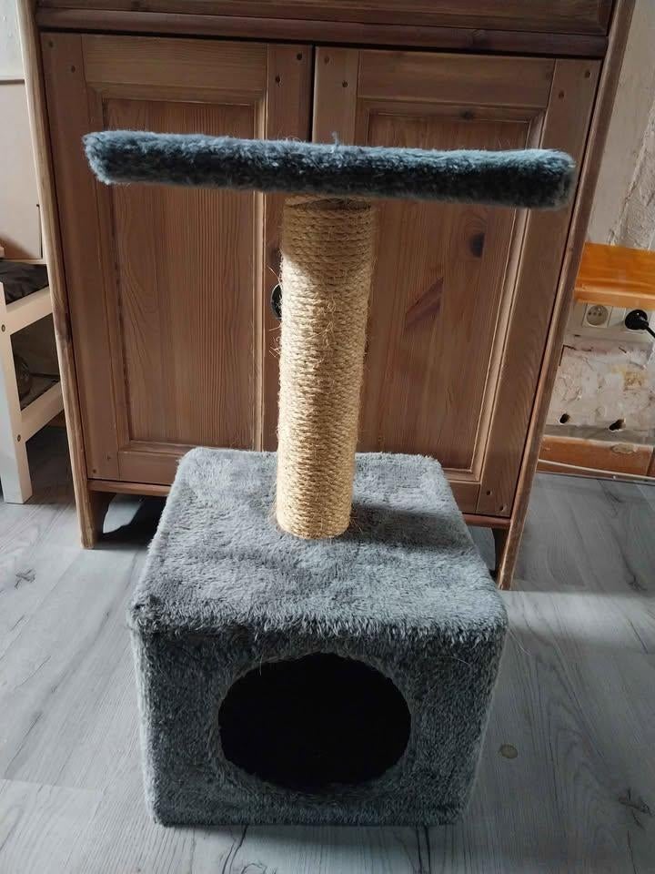 petit arbre chat, Enlèvement ou Envoi, Utilisé