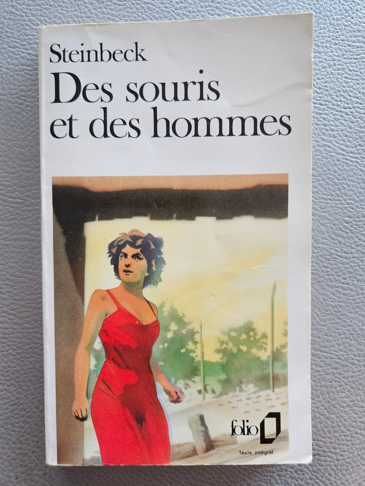 Des souris et des hommes - livre, Enlèvement ou Envoi, Utilisé, John steinbeck